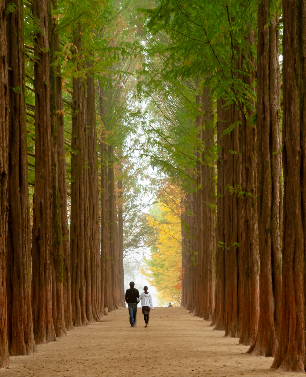 gapyeong trip nami island